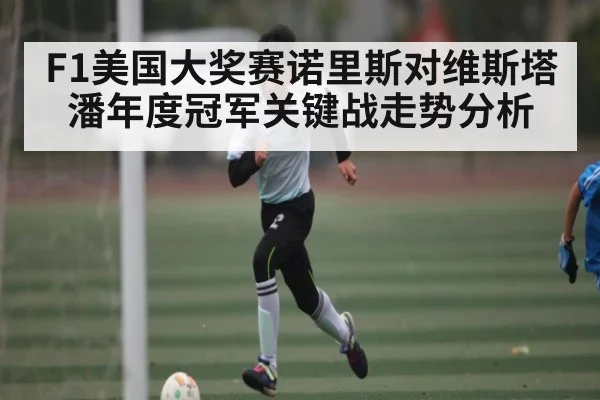 F1美国大奖赛诺里斯对维斯塔潘年度冠军关键战走势分析 | www c7c7 app com